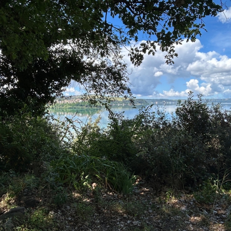 Villa in vendita Anguillara Sabazia