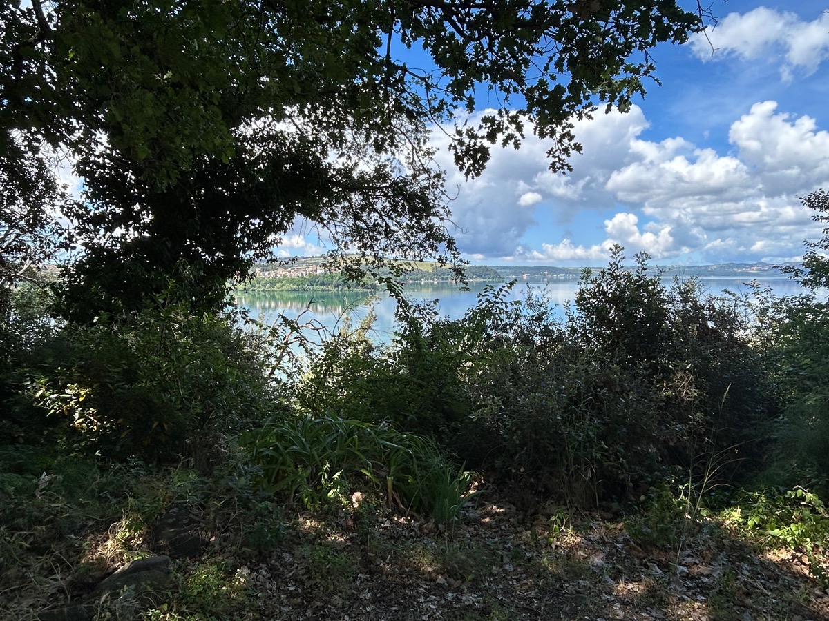 Villa in vendita Anguillara Sabazia