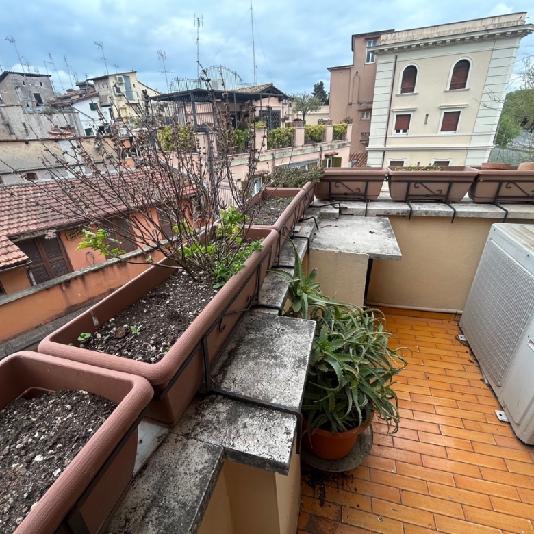 Lungotevere della Farnesina Appartamento Affitto