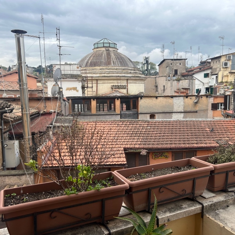 Lungotevere della Farnesina Appartamento Affitto