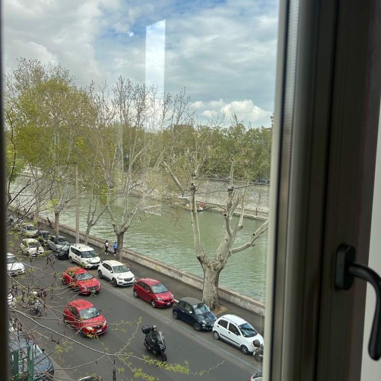 Lungotevere della Farnesina Appartamento Affitto