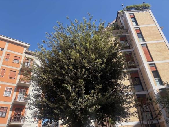Roma – Ardeatino Poggio Ameno | Appartamento 4 camere con 3 bagni in elegante palazzina anni ’60 · Via dell’Accademia dei Virtuosi